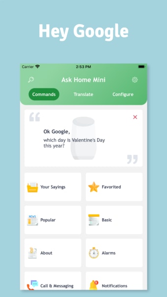 App for Home Mini for Google