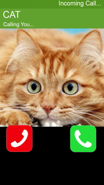 Call Cat 2