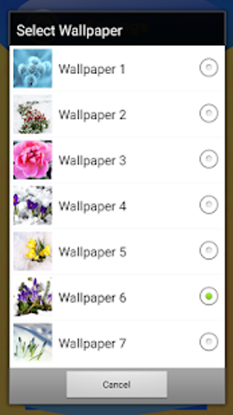 Winter Flowers Live Wallpapers