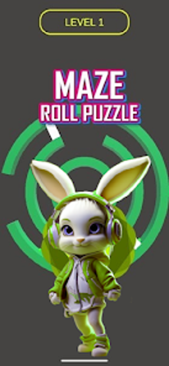 Maze Roll Puzzle