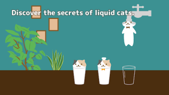 Liquid Cat Puzzle