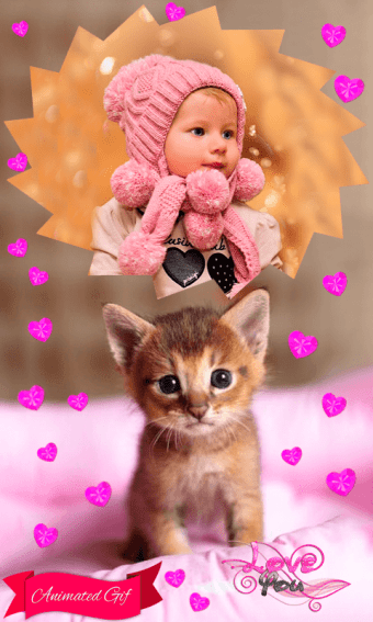 Sweet Cats GIF Photo Frames