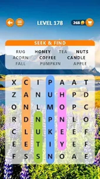 Word Search Tycoon:Seek  Find