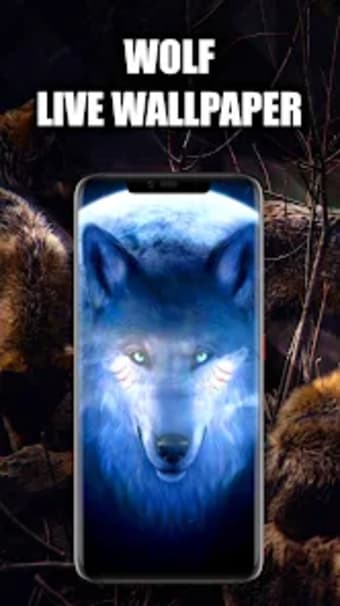 Wolf Wallpaper Live HD3D4K