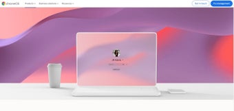 Chrome OS Flex