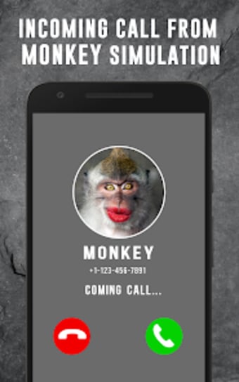 Monkey Fake Video Call Prank