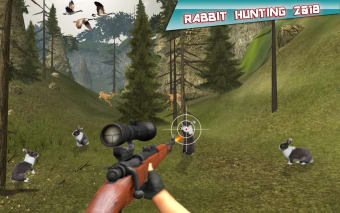 Rabbit Hunting Challenge