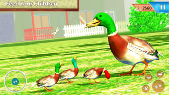 Flying duck family simulator