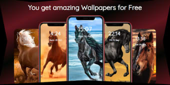 Horse Wallpapers HD  Horses