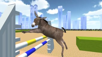 Jumping Donkeys Champions-Donk