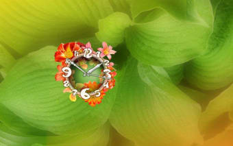 Lilium Flower Clock