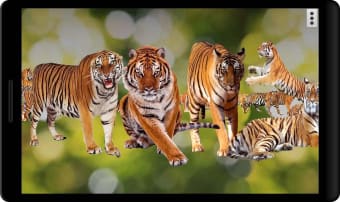 4D Tiger Live Wallpaper
