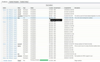 Salesforce Sandbox Version