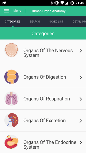Human Organs Anatomy Reference