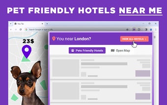 Pet Friendly Hotels Near Me