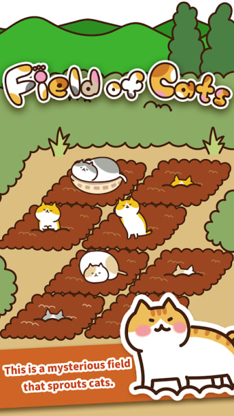 Field of Cats