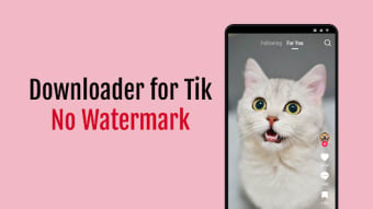 Downloader for TT No Watermark