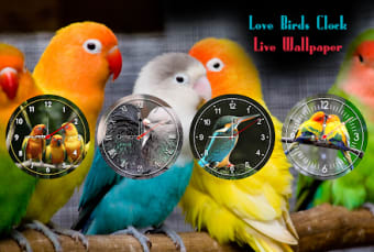 Love Birds Clock Live Wallpape