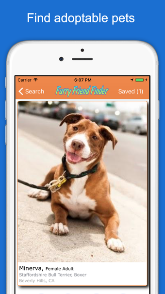 Furry Friend Finder Pet Rescue