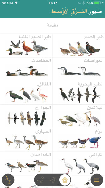 دليل الطيور في الشرق الأوسط
