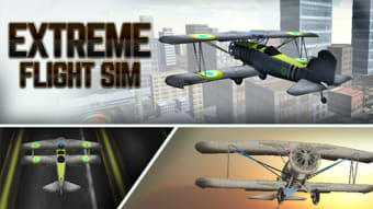 Extreme Flight Sim