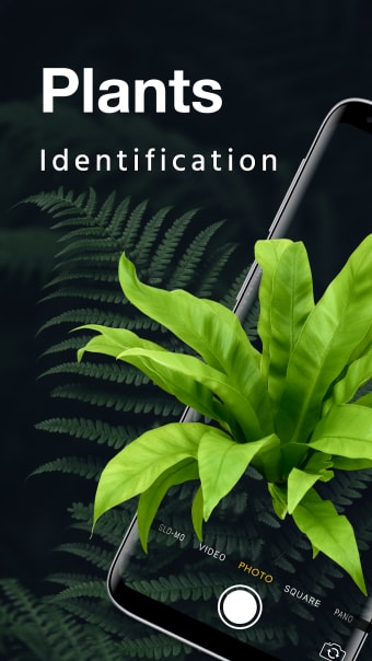 LeafSnap Plant Identification