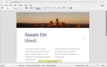 Document Editor for doc & docx