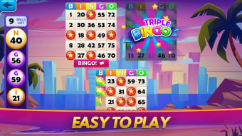 Vegas Bingo: My New Bingo Game