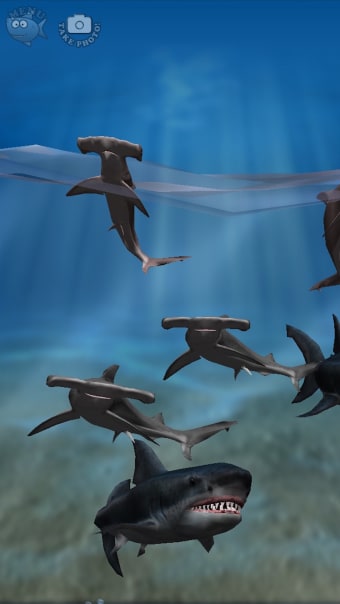 Shark Fingers 3D Interactive Aquarium FREE