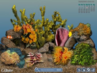 Crawler 3D Tropical Aquarium Screensaver
