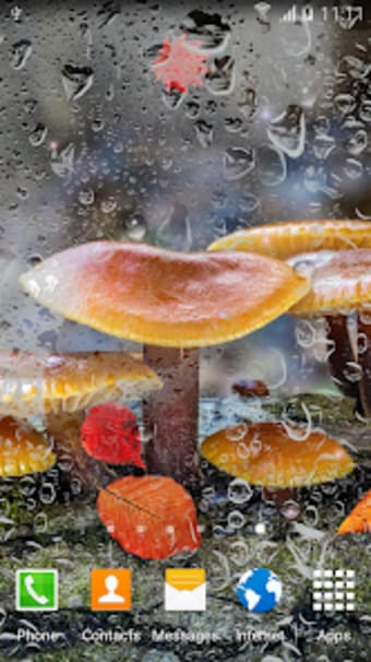 Mushrooms Live Wallpaper