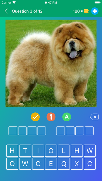 Dog Breeds Quiz: Guess the Pet