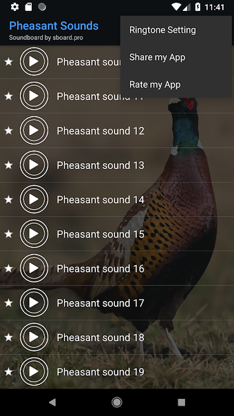 Pheasant sounds ~ Sboard.pro