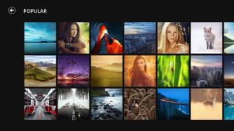 500px for Windows 10
