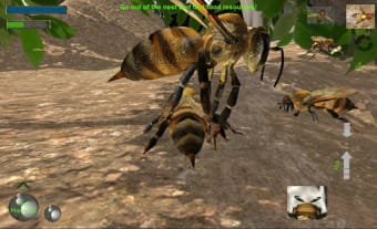 Bee Nest Simulator 3D