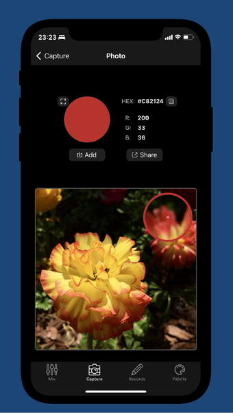 Lanse Pro-CaptureManage Color