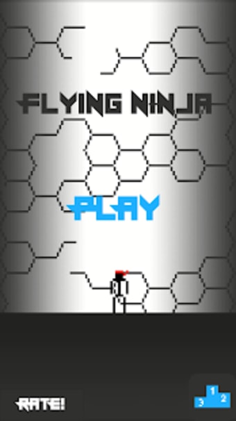 Flying Ninja