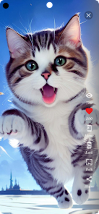 Cute Cat Wallpaper HD