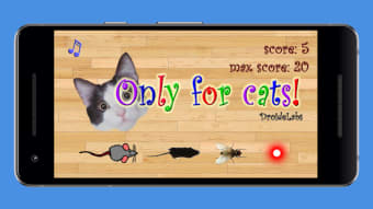 Only for Cats