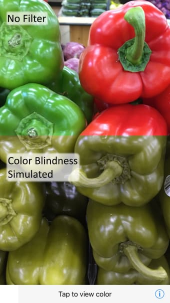 Color Blindness AR Solution