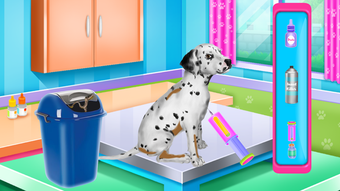 Dalmatian Puppy Day Care