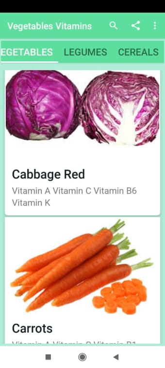 Vegetables Vitamins
