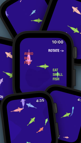 Fish in a Watch