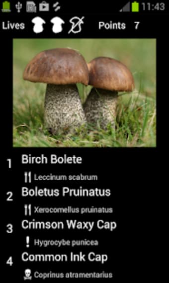 Myco - Mushroom Guide
