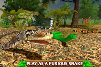 Furious Snake Simulator
