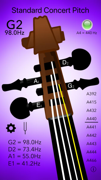Double Bass Tuner Professional