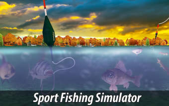Fishing Simulator: Catch Wild
