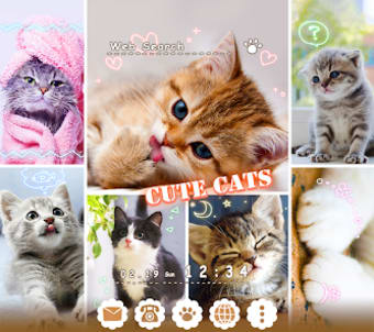 Cat Collage Theme