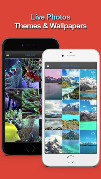 Free Wallpapers Themes And Photos Downloader