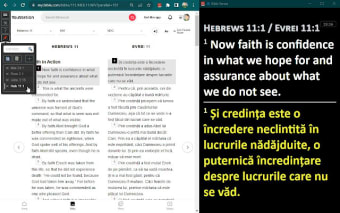 Project verses from bible.com